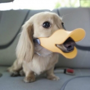 Soft Cozy Silicone Yellow Duckbill Duck Mouth Anti Biting Barking Pet Dog Adjustable Safety Mask Cage Muzzle 
