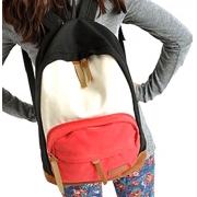 Cool Canvas Backpack Bag