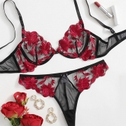Fashion See-through Gauze Floral Embroidered Two-piece Lingerie Set