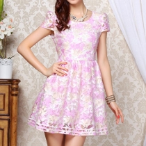 Pink Blue Embroidery Floral Short Sleeve Sheath Skater Dress 