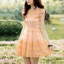 Floral Embroidery Sheer Cap Sleeve Sweet Lace Dress 