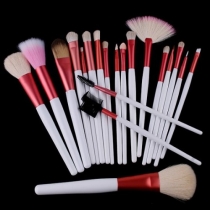 Professional Beauty 20 PCS Cosmetic Makeup Brushes Set with Pink Pouch