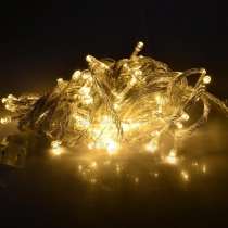 Warm White LED Fairy Light String Holiday Lights for Christmas Party   (10M,100 LED)