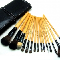 Professional Beauty 15 PCS Makeup Cosmetic Brushes Set with One Pouch 