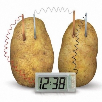 Potato Clock Novel Green Science Project Experiment Kit Kids Lab Home School Toy
