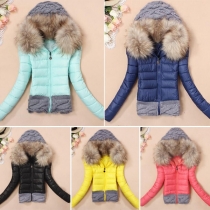 Fashion Front Zipper Long Sleeve Hooded Sweater Spliced Padded Coat