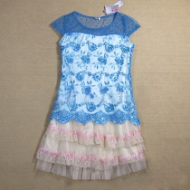 Fashion Lace Gauze Spliced Embroidery Paillette Dress