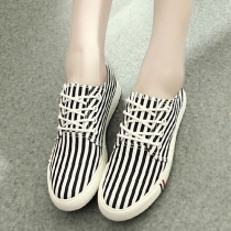 Casual Strip Contrast Color Lace-up Canvas Sneaker Slip On Loafers