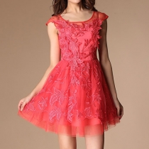 Lace Embroidery Flowers See Through Mesh Top Skater Dress 