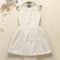 Simple Solid Color Semi-sheer Daisy Embroidered White Dress with a vest