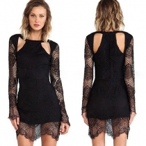 Sexy Hollow Out Long Sleeve Slim Fit Lace Dress