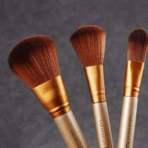 Professional Cosmetic 12pcs Makeup Brush Set with Box