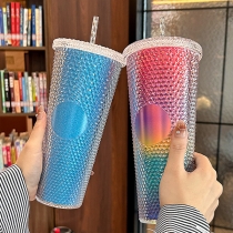 Fashion Gradient Iridescent Double Wall Straw Cup