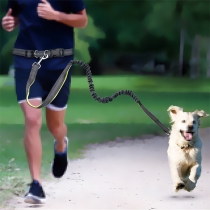 Adjustable Dog Running Leash