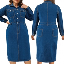 Fashion Stand Collar Long Sleeve Front Button Denim Dress