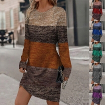 Casual Crew Neck Long Sleeve Contrast Color Dress