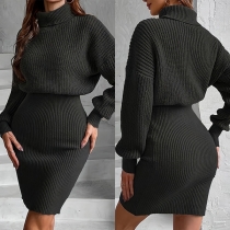 Fashion Turtleneck Batwing Long Sleeve Knitted Sweater Dress