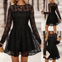 Fashion Crew Neck Long Sleeve High-rise Lace Dress