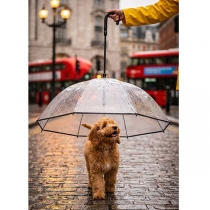 Dog Umbrella with Chain Leash, Puppy Umbrella for Rain Snow Day Walking with C-Shape Handle, Bendable Bar Angle Adjustable