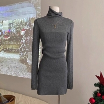 Fashion Turtleneck Long Sleeve Ribbed Bodycon Dress