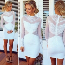 Sexy See-through Long Sleeve Slim Fit Lace Spliced Dress