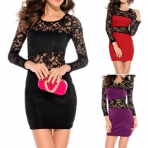 Sexy Hollow Out Lace Spliced Long Sleeve Round Neck Slim Fit Party Dress