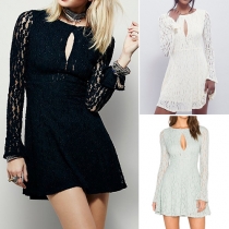 Elegant Solid Color Round Neck Long Sleeve Lace Hollow Out Dress