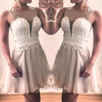 Sexy Gauze Lace Spliced Round Neck Sleeveless Dress