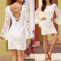 Fashion Solid Color Round Neck Long Sleeve Back Hollow Out Lace Dress