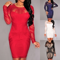 Sexy Hollow Out Lace Spliced Long Sleeve Round Neck Tight Dress