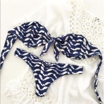 Sexy Printed Bandeau Bikini Set
