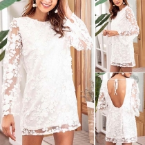 Fashion Lace Embroidery Spliced Long Sleeve Round Neck Dress