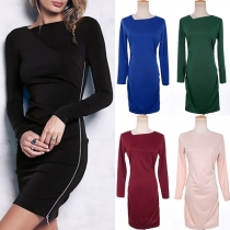 Elegant Solid Color Long Sleeve Oblique Collar Side-zipper Dress
