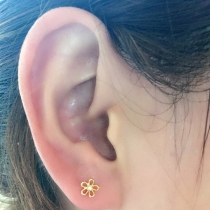 Simple Style Hollow Out Flower Shaped Stud Earring