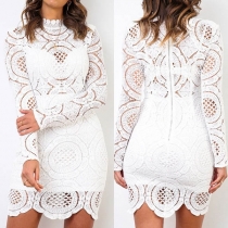 Sexy Long Sleeve Mock Neck Slim Fit Hollow Out Lace Dress