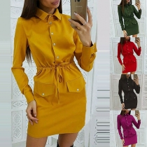 OL Style Long Sleeve POLO Collar Solid Color Slim Fit Dress