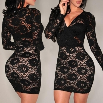 Sexy Deep V-neck Long Sleeve Slim Fit See-through Lace Dress