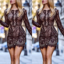 Sexy Long Sleeve Round Neck Slim Fit Lace Dress