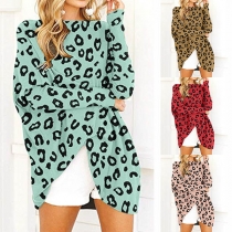 Fashion Leopard Printed Long Sleeve Round Neck Loose Dress