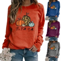 Simple Style Pumpkin Printed Round Neck Long Sleeve Sweatshirt