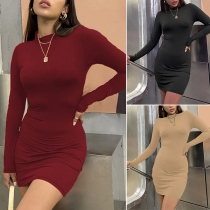 Simple Style Long Sleeve Mock Neck Solid Color Tight Dress