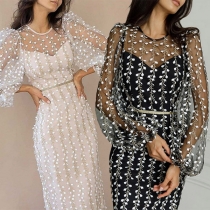 Sexy See-through Gauze Spliced Lantern Sleeve Round Neck Slim Fit Embroidery Dress