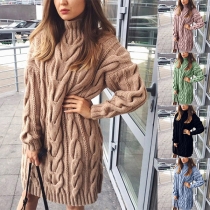Simple Style Long Sleeve Turtleneck Solid Color Sweater Dress