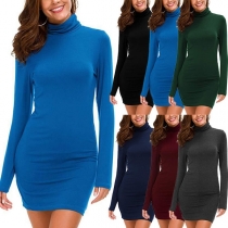 Simple Style Long Sleeve Turtleneck Slim Fit Solid Color Dress