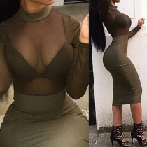 Sexy Gauze Spliced See-through Mock Neck Package Hips Dress