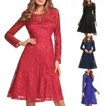 Elegant Solid Color Long Sleeve Round Neck High Waist Lace Dress