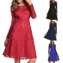 Elegant Solid Color Long Sleeve Round Neck Lace Dress