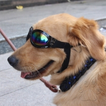 Fashion Round Frame Sunglasses for Pets 