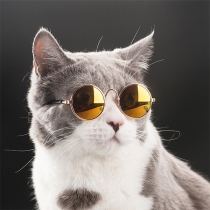Retro Style Round Frame Sunglasses for Pets