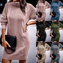 Women's Turtleneck Long Sleeve Knit Sweater Dress